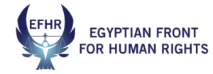 Partner organisation logo