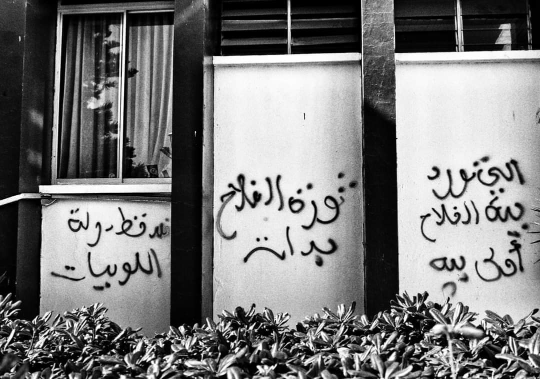 https://shorturl.at/7AEVe (FB page نحو فلاحة سيادية)
